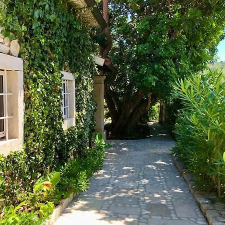 Stone House Retreat Semesterbostad Mali Lošinj