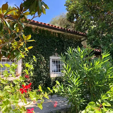 Stone House Retreat * Mali Lošinj